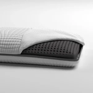 Queen Size Bamboo Charcoal Ventilated Pillow